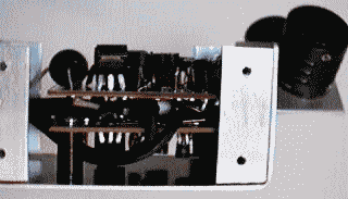 �c�b�}�C�N��������猩��