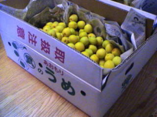 �����P�T�N�Q�O�����̔~