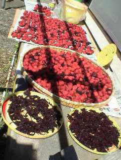 �����P�T�N�Q�O�����̔~4