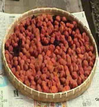 �P�S�N�����̂P�O�j���̔~��