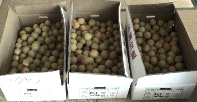 �����P�U�N�R�O�����̔~2